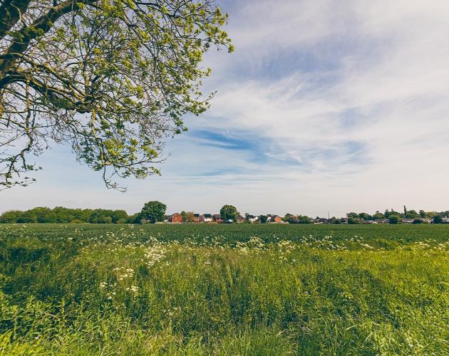 Land At Long Stratton