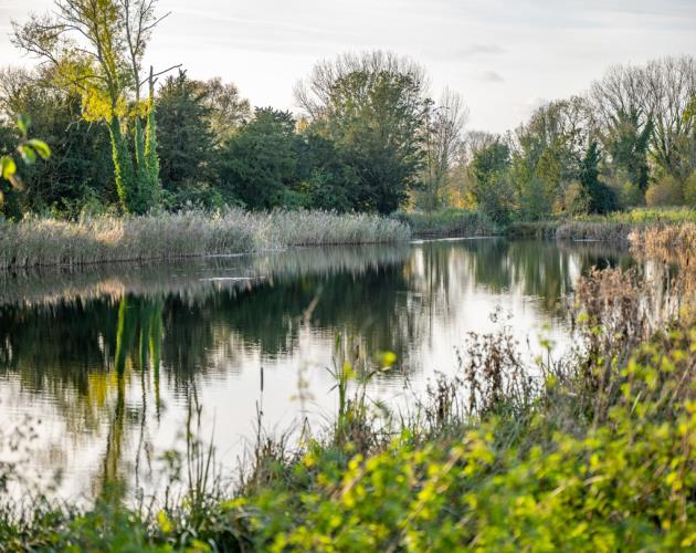 Fornham Park