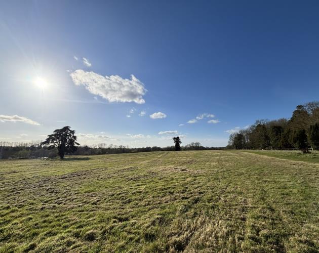 Fornham Park