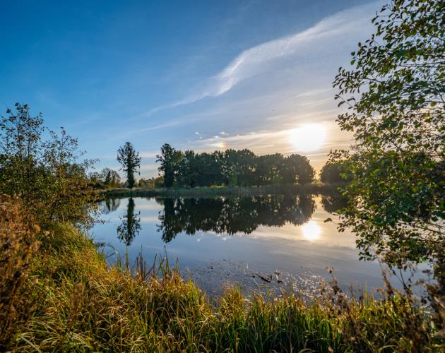 Fornham Park