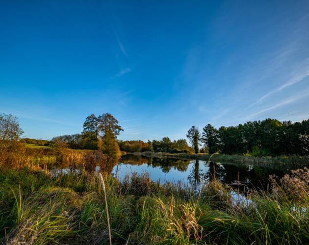 Fornham Park