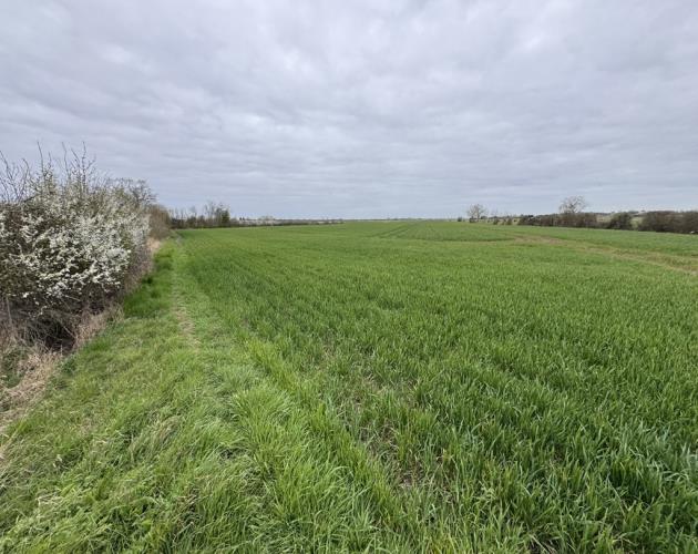 Arable Land At Coveney - Lot 2