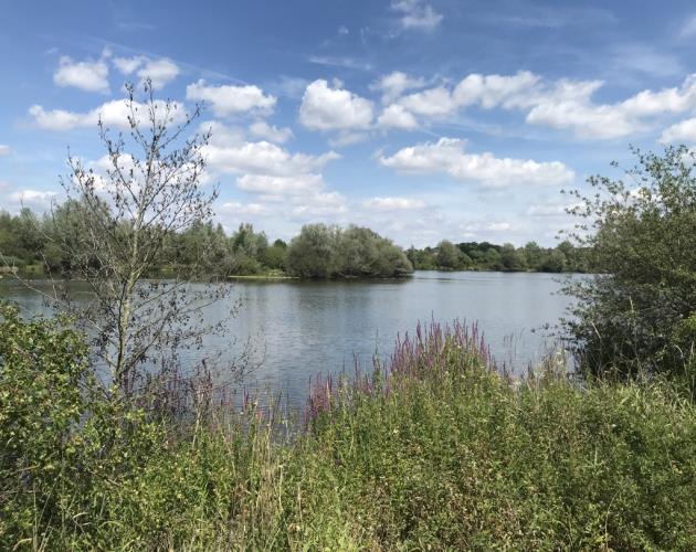 Lakes At Barton-under-Needwood