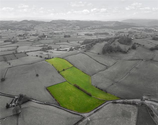 Newton in Cartmel