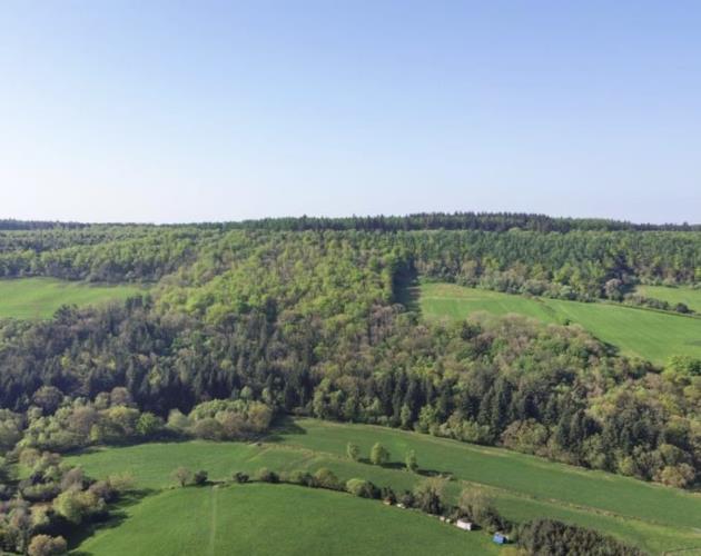 Harwood Dale