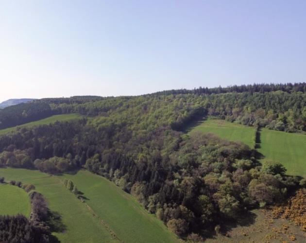 Harwood Dale