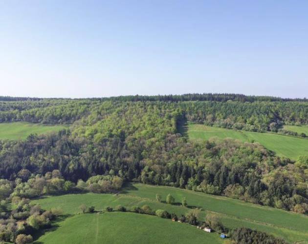 Harwood Dale