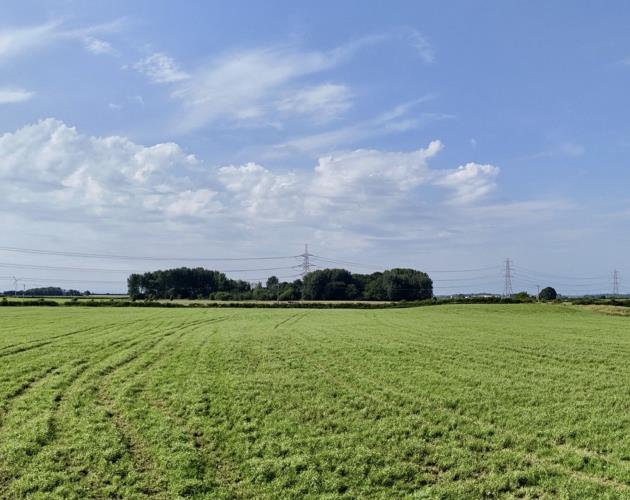 Island Lane