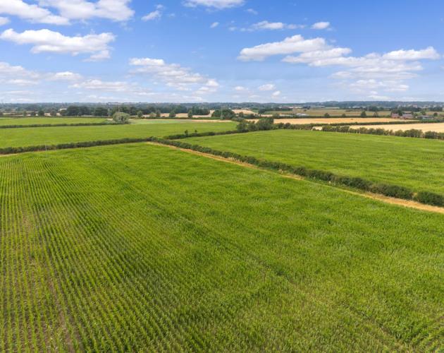 Agricultural Land At Greenhedge Farm