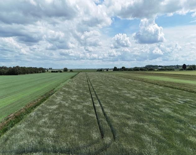 Lot 3 - 48.29 Hectares (119.33 Acres)