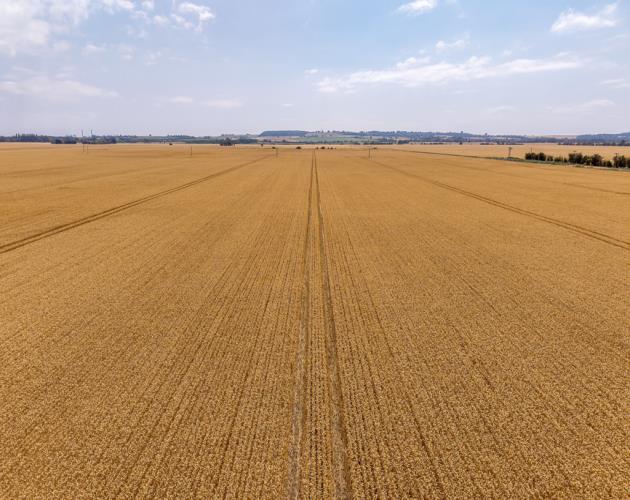 Lot 2 Land At Carr Farm And Carr Farm Cottages