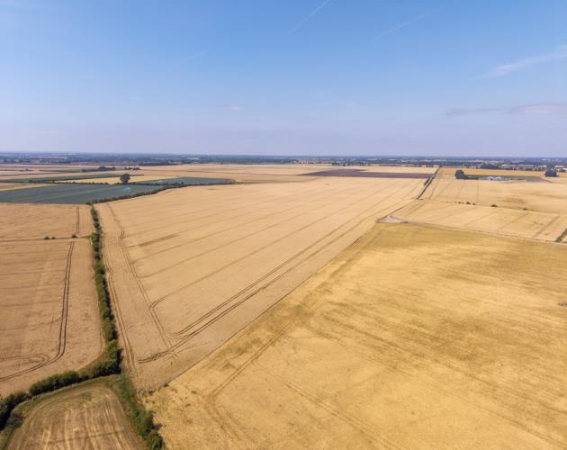 Lot 2 Land At Carr Farm And Carr Farm Cottages