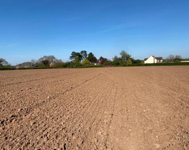 Arable Land Near Churcham