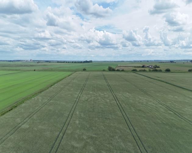 Lot 4 - 8.58 Hectares (21.20 Acres)