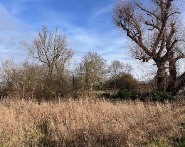 Land at Pound Green