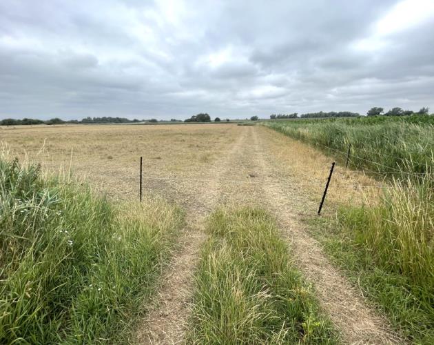 Lot 1 - Pasture Land At The Corkerets