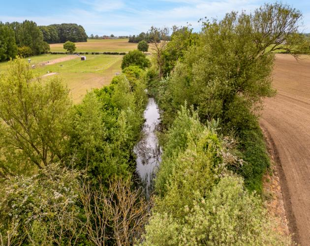 Around 22.78 Acres
