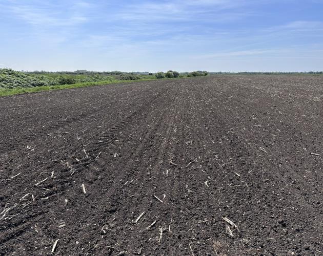 Arable Land At Coveney