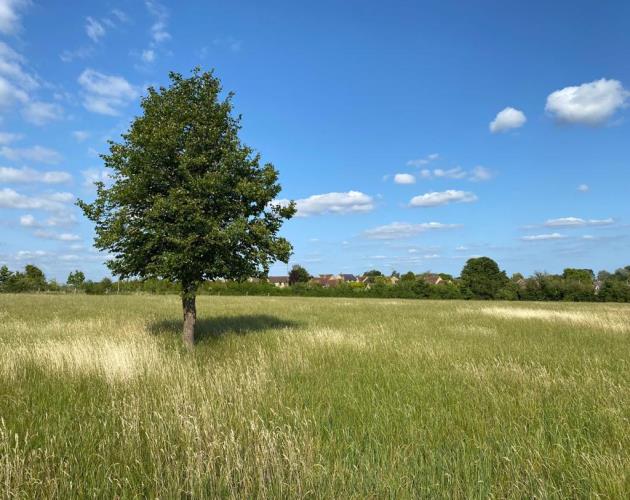 Arable Land & Paddock Land Near Shilton