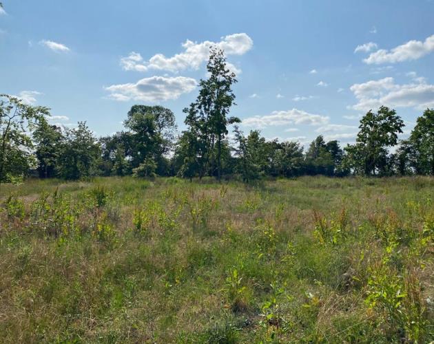 Arable Land & Paddock Land Near Shilton
