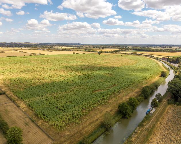 112.24 Acres (45.42 Hectares)