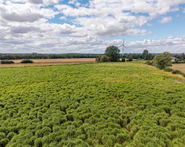 112.24 Acres (45.42 Hectares)