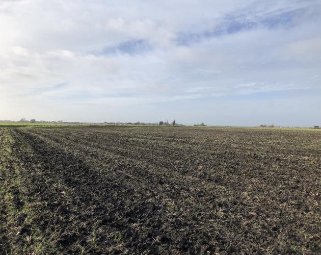 Land off Oilmills Road