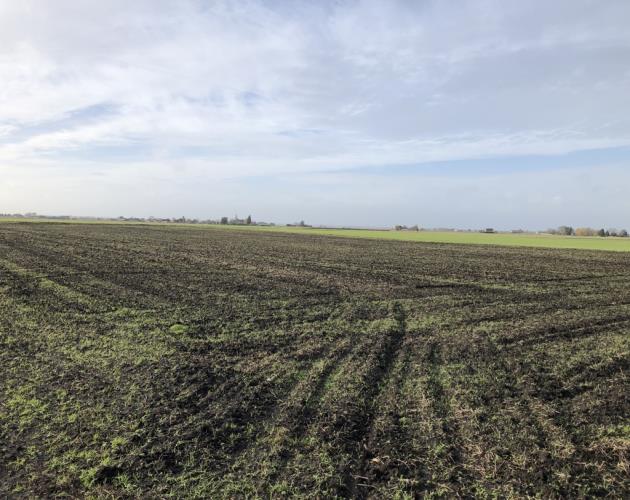 Land off Oilmills Road