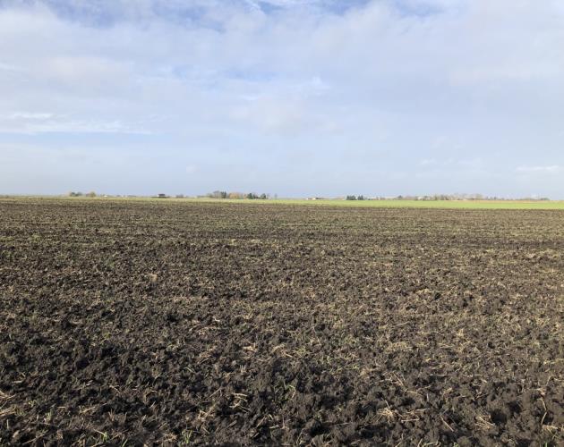 Land off Oilmills Road