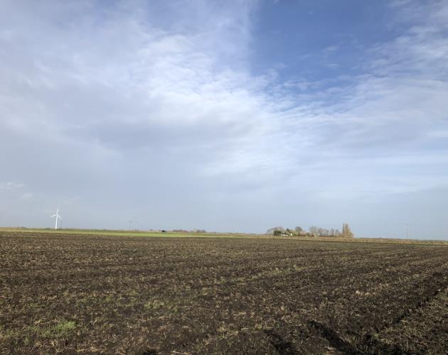 Land off Oilmills Road