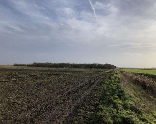 Land off Oilmills Road