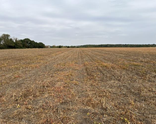 Lot 1 16.99 Acres-Land At Metheringham