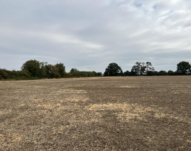 Lot 1 16.99 Acres-Land At Metheringham
