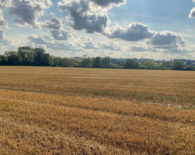 Land At Byfield