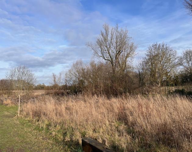 Land at Pound Green