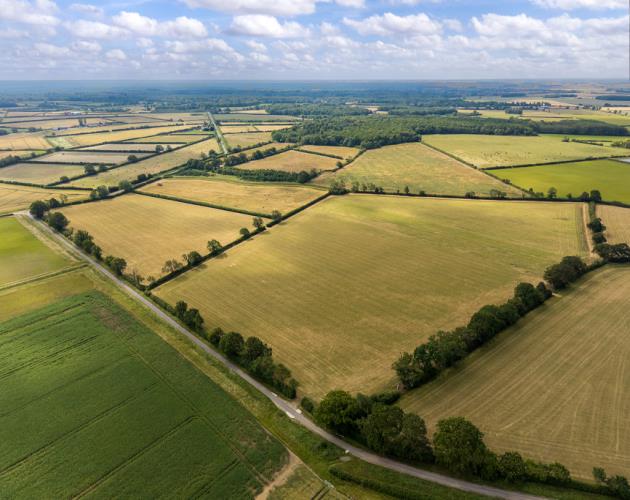 39.95 Acres (16.16 Hectares)