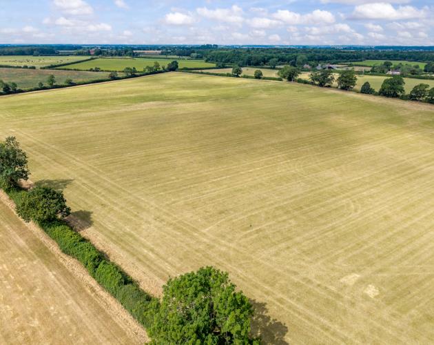 39.95 Acres (16.16 Hectares)