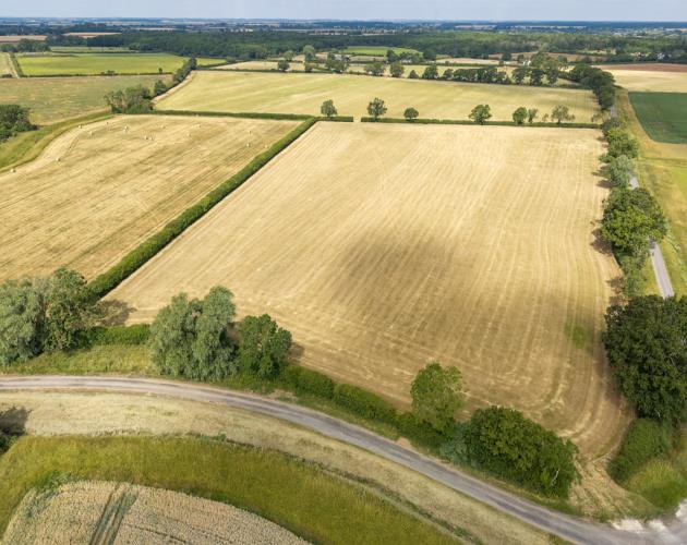 39.95 Acres (16.16 Hectares)