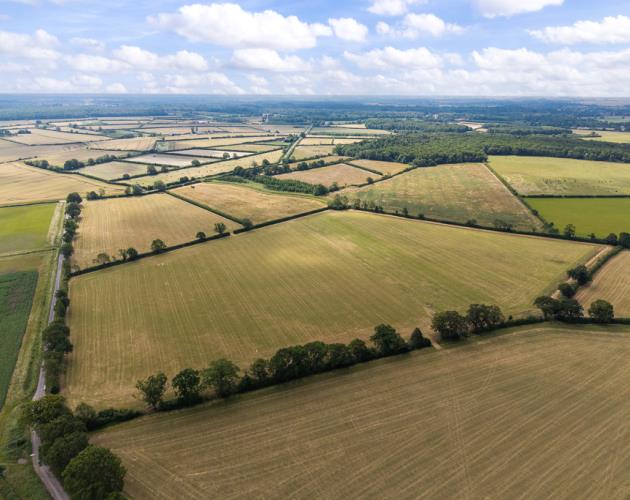 39.95 Acres (16.16 Hectares)