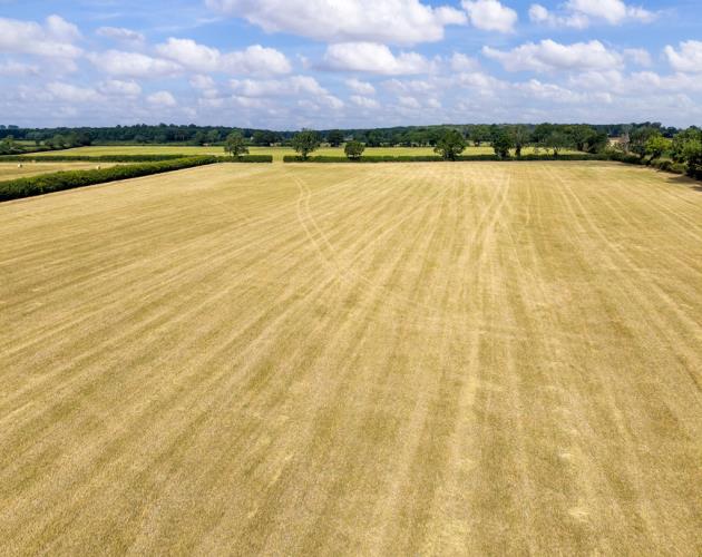 39.95 Acres (16.16 Hectares)