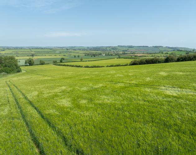 Land At Ashley