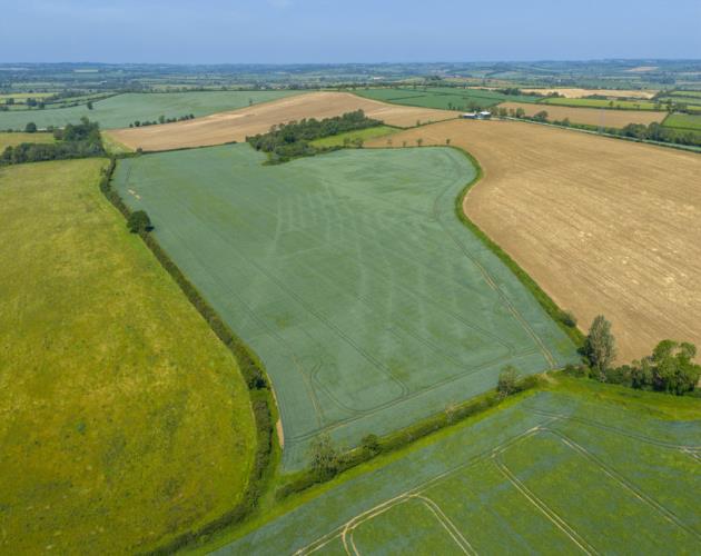 Land At Ashley