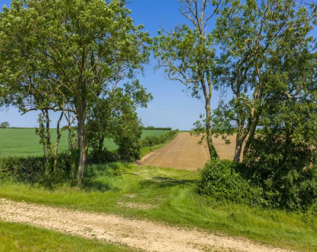 Land At Ashley