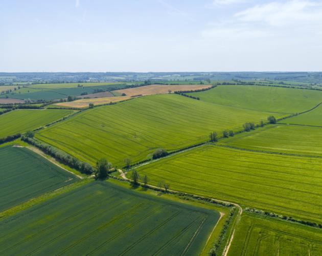 Land At Ashley