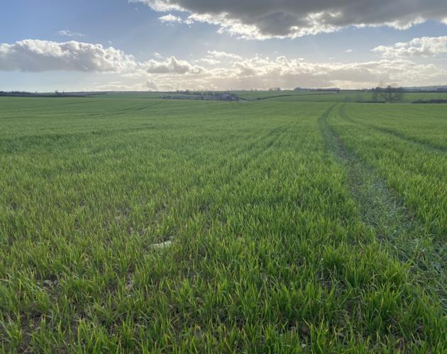 Lot 2 - Arable Land Off Leafield Road & Charlbury Road