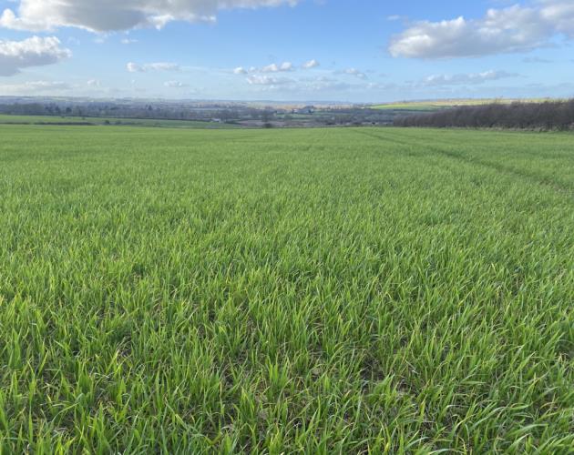 Lot 2 - Arable Land Off Leafield Road & Charlbury Road