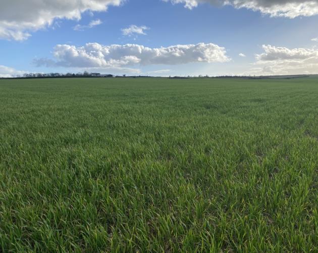 Lot 2 - Arable Land Off Leafield Road & Charlbury Road