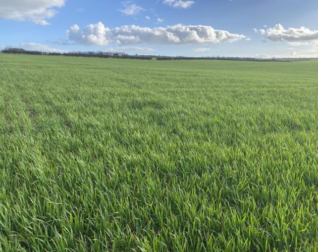 Lot 2 - Arable Land Off Leafield Road & Charlbury Road