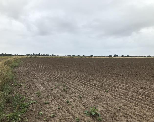 Land