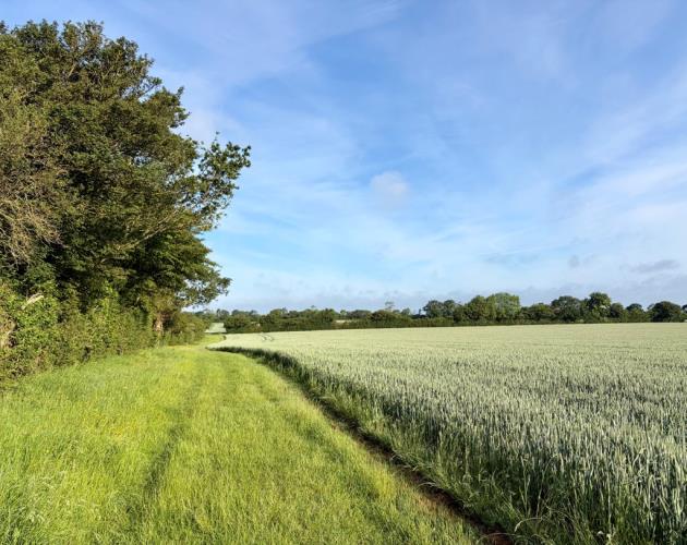 Arable Land At Wissett (Lot 1)